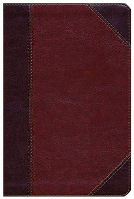 Holman Christian Standard Bible