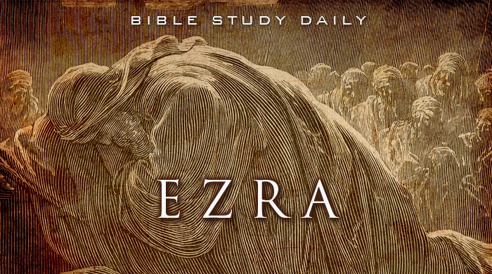 esther bible study
