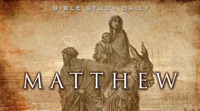 book of matthew bible study
