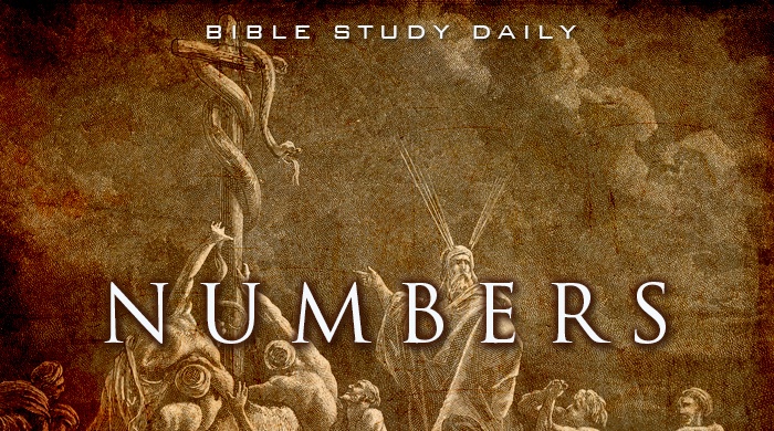 numbers-32-33-bible-study-daily