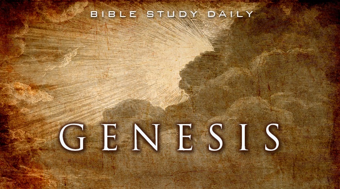 bible study for teens genesis