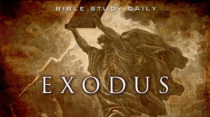 Как чекать exodus